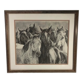Vintage Wild Horse Equestrian Matted Framed Charcoal Drawing For Sale