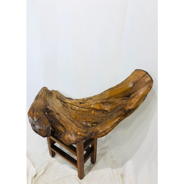 Mid 20th Century Vintage Hand Crafted Driftwood Bench For Sale - Image 5 of 11