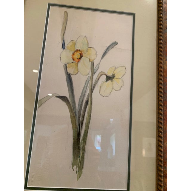 Shabby Chic Early 20th Century Vintage Framed Watercolor of Daffodils For Sale - Image 3 of 7