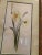 Shabby Chic Early 20th Century Vintage Framed Watercolor of Daffodils For Sale - Image 3 of 7