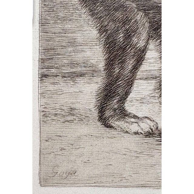 Paper Francisco Goya - Miren Que Grabes! (From Los Caprichos), 1799 / 1868 Etching For Sale - Image 7 of 10