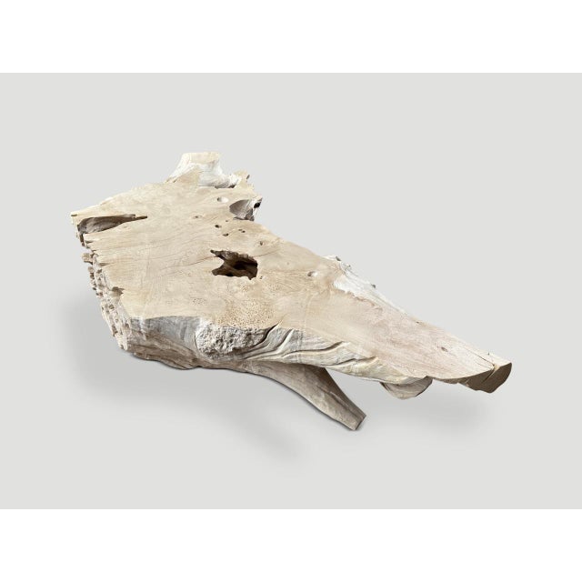 Andrianna Shamaris Bleached Sculptural Teak Wood Coffee Table For Sale - Image 10 of 18