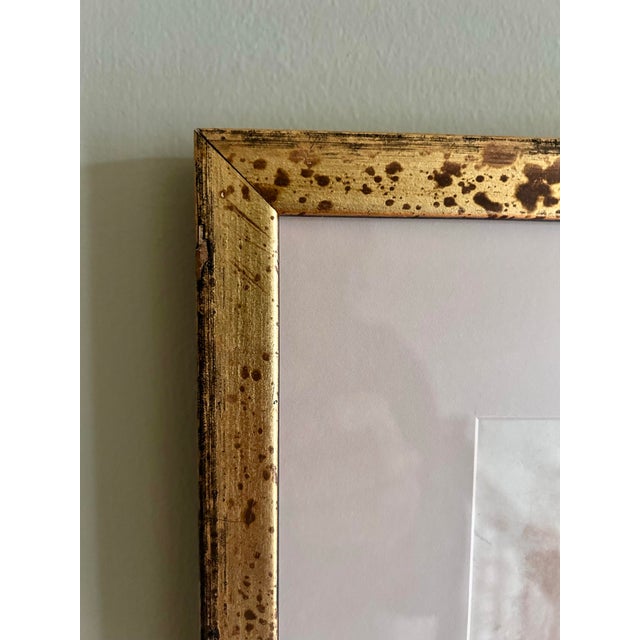 Antique Pen and Ink Male Portrait Sketch, Framed For Sale - Image 4 of 10