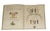 Antique Kate Greenaway a Day in a Child's Life Book Stunning Illustrations Songs Children's For Sale - Image 9 of 11