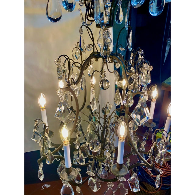 Baccarat Large - Louis XV Lead Crystal Chandelier. Est. 1764 to 1860, Heavy Baccarat Lead Crystal For Sale - Image 4 of 9