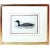Mid 19th Century Certified Original and Framed "Great Northern Diver" Illustration of a Duck Engraved by Morris Circa. 1838 For Sale - Image 5 of 5