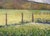 Late 20th Century Purple Clouds Above Cornfields on the Farm - Landscape in Oil on Masonite For Sale - Image 5 of 10