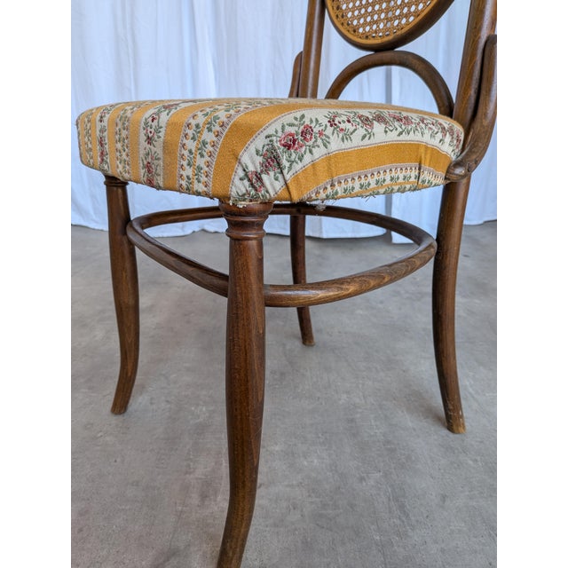 Vintage Bentwood Chair in Fabric and Cane Backrest, Yugoslavia, 1970s For Sale - Image 4 of 18