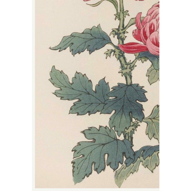 Pink Chrysanthemums, Vintage Japanese Botanical Art Print, 20" X 30" For Sale - Image 4 of 9