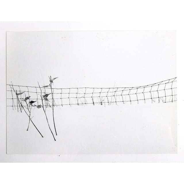 Mid 20th century photograph of a wire fence in the snow attributed to Jeff Weiss (20th 21st century). Unsigned. Unframed,...