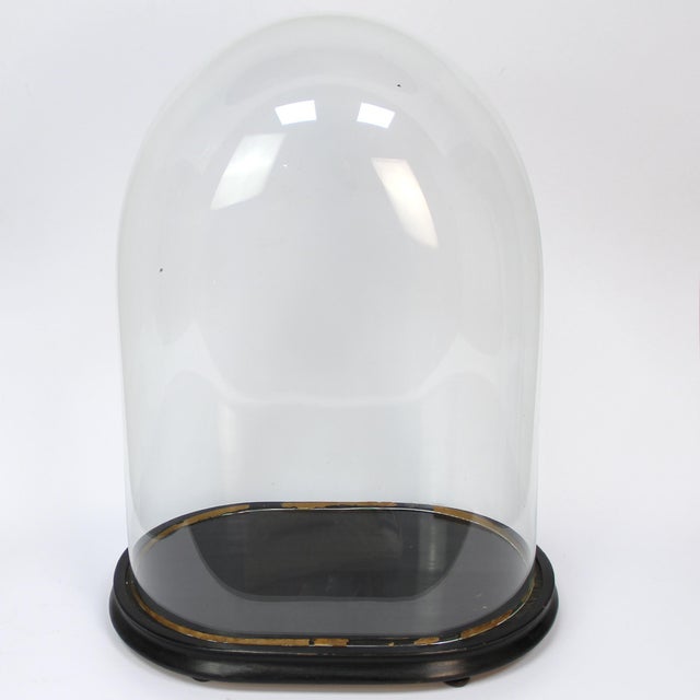 Napoleon III Glass Dome, in Good conditions. Designed before 1890