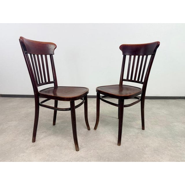 1920s Vintage Bentwood Dining Chairs from Thonet, 1920s, Set of 10 For Sale - Image 5 of 14