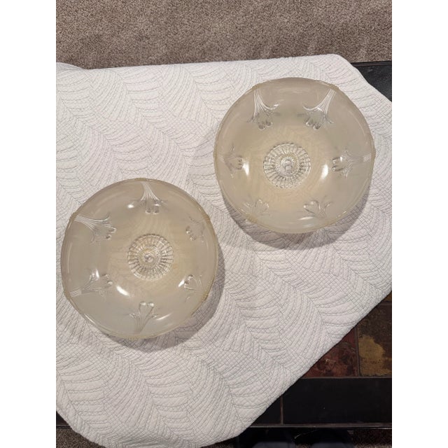 Art Deco Glass Ceiling Light Shades Gorgeous patterned motif in background with clear leaf floral design with bubble...