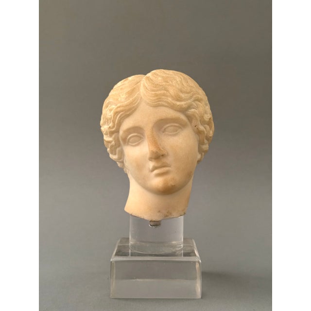 Statuary Head of Artemis, 18th Century, Marble For Sale - Image 12 of 12