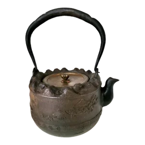 19th Century Japanese Cast Iron Water Kettle or Teapot
