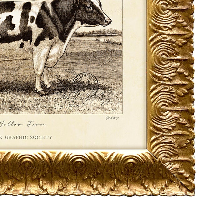 2020s Reproduction Art Print of Vintage Holstein (2) Cow in Ornate Gold Frame For Sale - Image 5 of 5