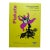 Niki De Saint Phalle (1930–2002), Exhibition Poster With Jean Tinguely, 2005, Printed in Germany For Sale