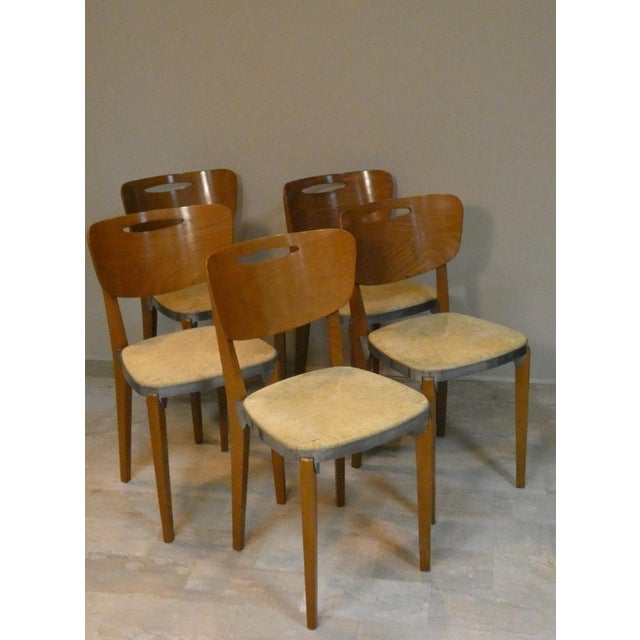 Paco Dining Chairs by Thomas Althaus and Volker Laprell for Althaus Laprell, Italy, 1990, Set of 5 For Sale - Image 11 of 17