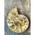 Mid 20th Century Vintage Fossilized Ammonite Specimen For Sale - Image 5 of 12