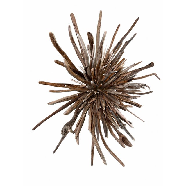 Contemporary Tideborn Lotus ~Driftwood Sculpture For Sale - Image 3 of 6