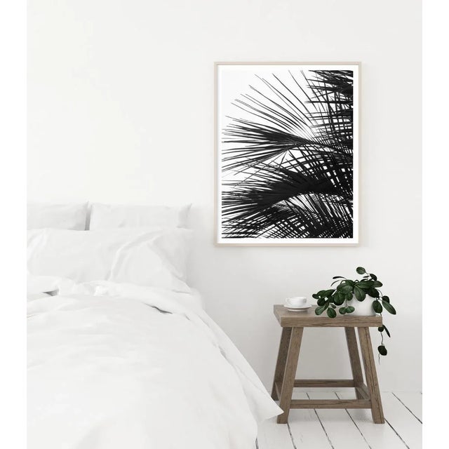 Contemporary Minimalist Palm Tree Art Print, Large Tropical Coastal Wall Art, Black and White 24 X 36" Photography Print, 'Palm Fronds' For Sale - Image 4 of 9