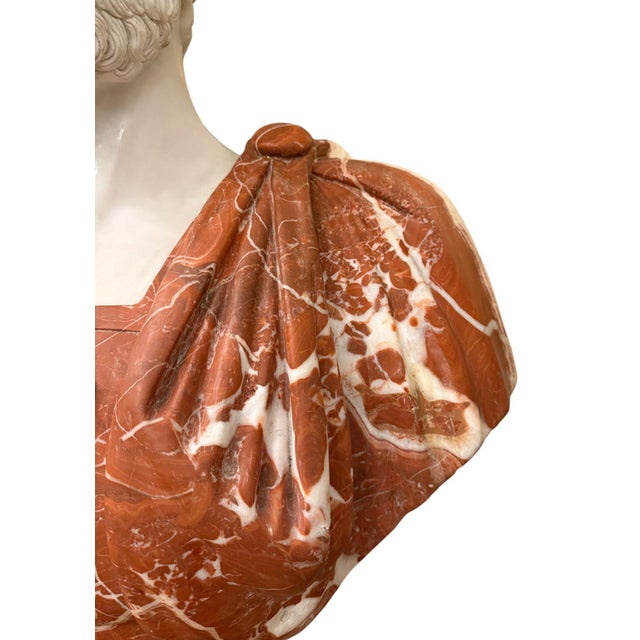 Italian Multicolor Marble Bust of Ancient Philosopher Aristotle. 20th Century. For Sale - Image 4 of 8