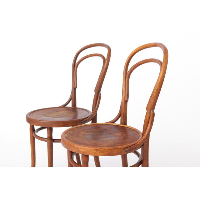 Wood Antique Austrian Beech Bentwood Dining Chairs, 1930s, Set of 2 For Sale - Image 7 of 12