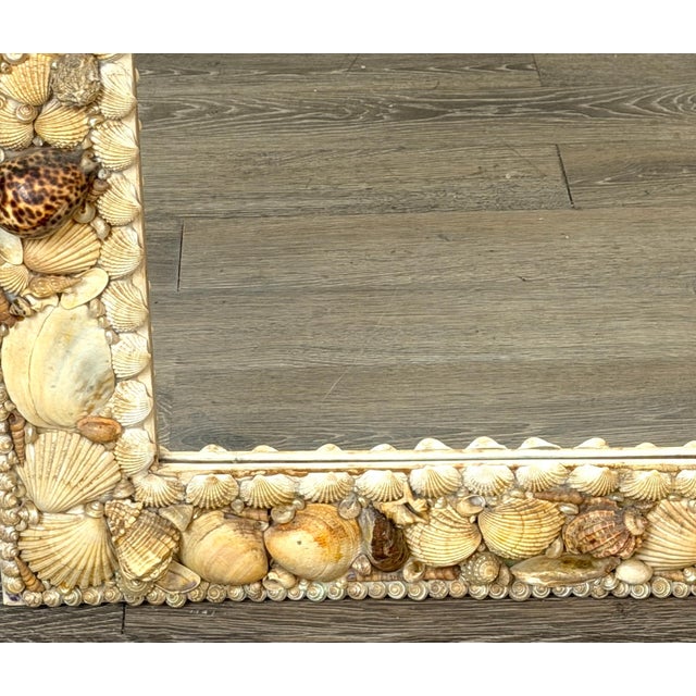 Mid-Century Modern 1960s Coastal Bohemian Specimen Shell Encrusted Mirror with Tiger Cowries For Sale - Image 3 of 14