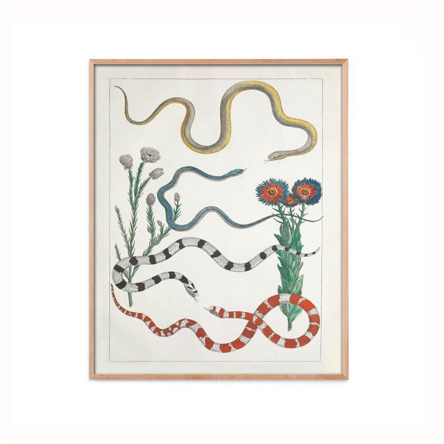 This antique illustration depicts the flora and fauna of the Southwest in decorative desert tones of green, red, blue, and...