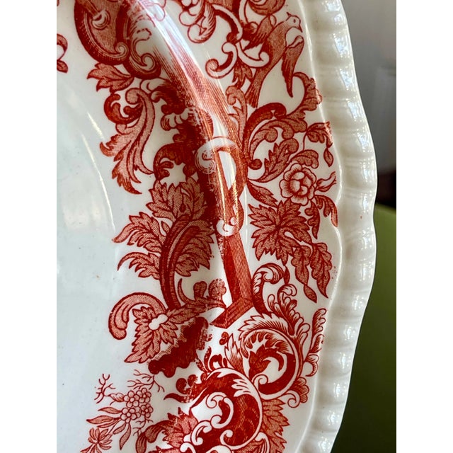 English Copeland Spode "Beverly" Cabinet Plates, Set of 4 For Sale In New York - Image 6 of 7