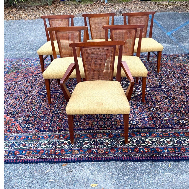 1960s Vintage Drexel Cane & Walnut Dining Chairs a Set of 6 Chairish