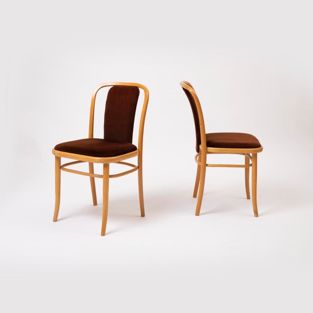 Mid-Century Modern Set of Vintage Bentwood Chairs in Brown Velvet by Ton, 1960s For Sale - Image 3 of 11