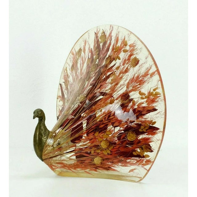 Peacock Table Lamp in Brass & Acrylic Resin with Real Leaves and Grasses, 1970s For Sale - Image 11 of 11
