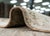Textile Oushak Rug 9'6" x 13'8" #21387 For Sale - Image 7 of 8