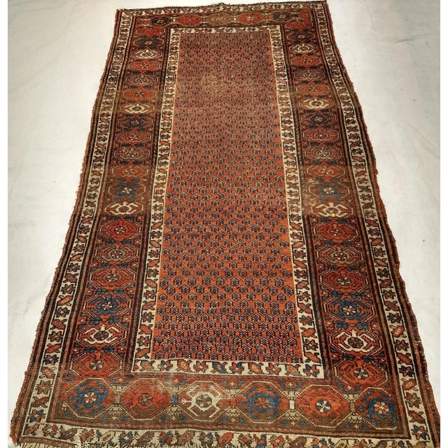 Red Antique Persian Kurdish Area Rug, Handwoven All-Over Paisley Pattern, Rust Red & Navy, 3’ X 6’ For Sale - Image 8 of 8