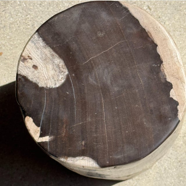 Black Small Side Table in Black and White Petrified Wood, 1980s For Sale - Image 8 of 18