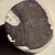 Black Small Side Table in Black and White Petrified Wood, 1980s For Sale - Image 8 of 18