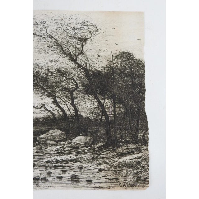 English Late 19th Century Rocky Glade Landscape Etching For Sale - Image 3 of 4