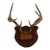 Mid-20th Century Whitetail Deer Antlers on Carved Shield Plaque For Sale