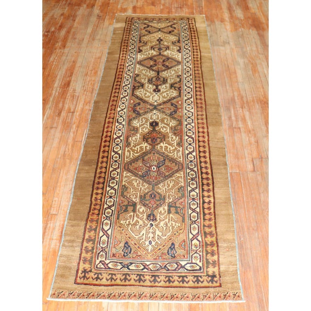 Late 19th Century Camel Hair Runner - 3'8" x 11' For Sale - Image 14 of 18