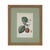 Early 19th Century Antique Pair Fruit Botanical Engravings Apple & Plum Prints Framed Traditional Decor For Sale - Image 5 of 6