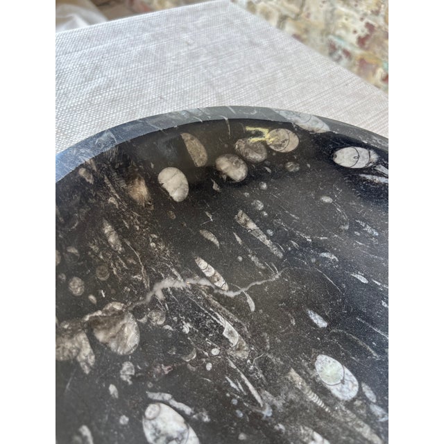 2000 - 2009 Goniatite Bowl For Sale - Image 5 of 8