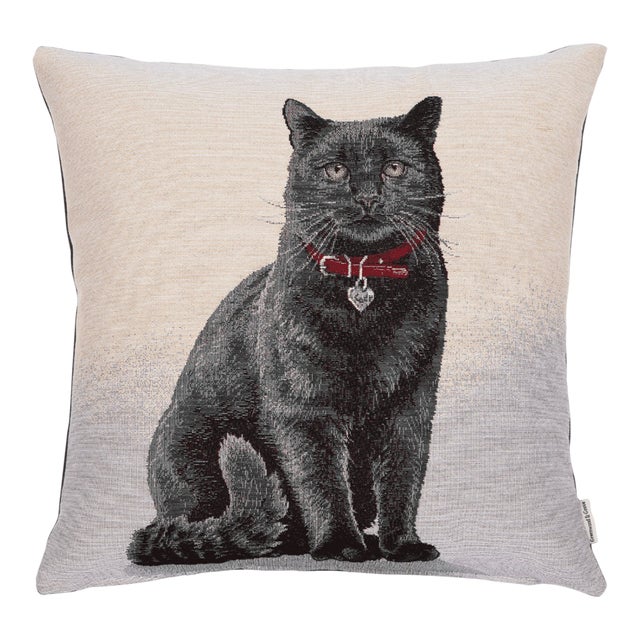 Midnight Max Woven Cushion With Feather Filler - 42x42cm (17"x17") For Sale
