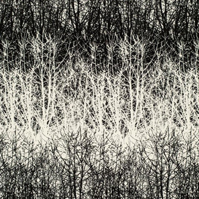 Sample - Schumacher Birches Fabric in Black For Sale