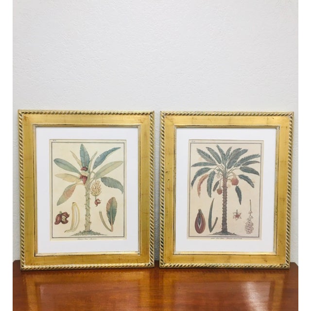 contemporary trowbridge gallery tropical