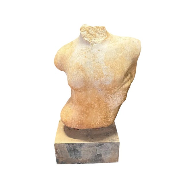 Neoclassical Marble Male Torso Study on Concrete Base, Grand Tour Style Fragment For Sale - Image 4 of 4