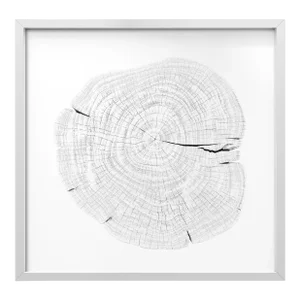 Stump 1 - Variation 11 by Trinette + Chris Print with White Frame - 14 X 14