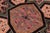 Elegant Mughal Inspire Pak-Persian Black/Multi Wool Rug - 9'2'' X 12'4'' For Sale In New York - Image 6 of 9
