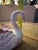 Beautiful vintage swan planter made by Vestal pottery in Portugal. This elegant ceramic piece features a graceful swan...