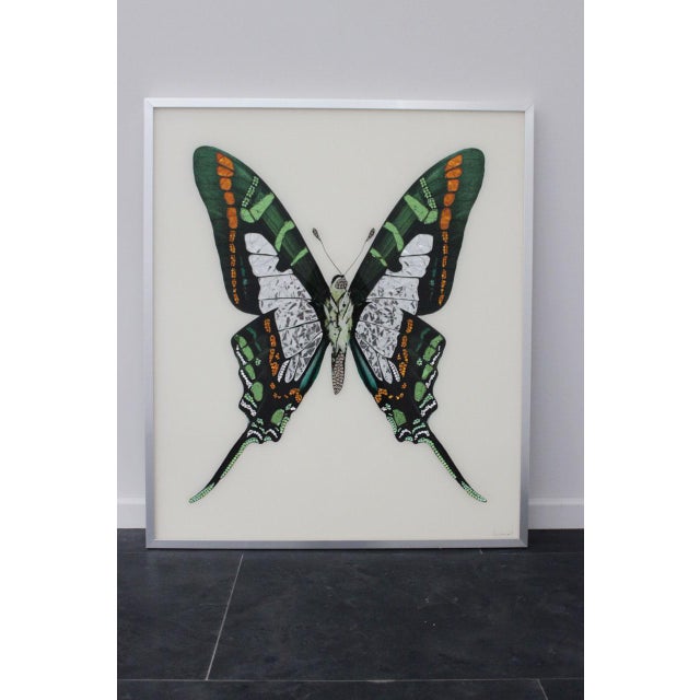 Michele Astolfi, Green Butterfly, 2000s, Mixed Media, Framed For Sale - Image 6 of 6